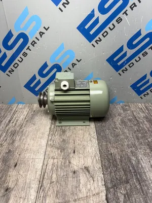 NANTONG HAI RI ELECTRICAL THREE-PHASE INDUCTION MOTOR Motors | ESS Industrial Equipment Sales (1)