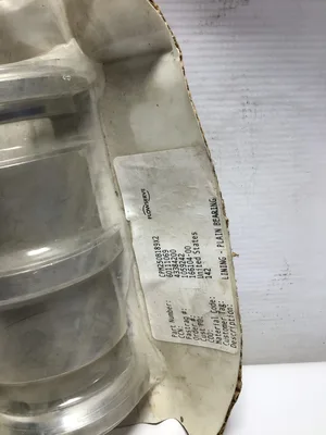 FLOWSERVE LINING-PLAIN BEARING (CPM250B189X2)