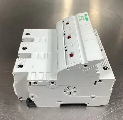 Used Littelfuse LFPSJ-ID FUSE HOLDER, 2 POLE, 30A, 600V. Fuse Accessories | Palmetto Automation #1155779