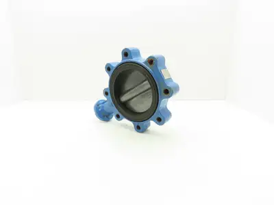 Durco 6" Lug Style Butterfly Valve Lined Disc 150psi DN150  *Cracked Seal*