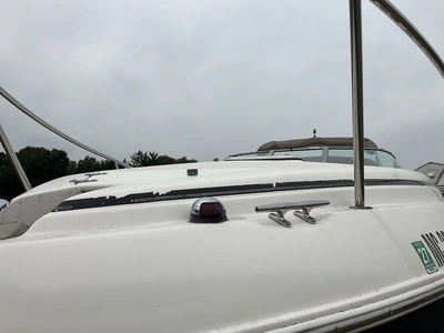 Used 2005 RINKER 250 VS Boats (Misc) Michigan US | Miedema Asset Management Group #1316088