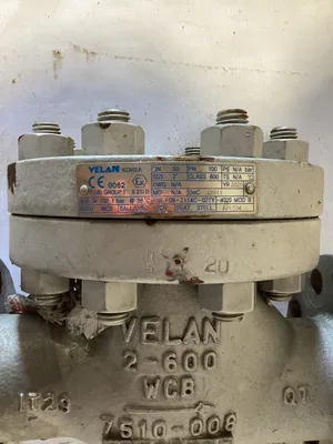 VELAN 2” Carbon Steel Ball Check Valve 13CR ball DN50