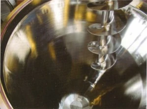 1,000L New S/S Conical Powder Mixer