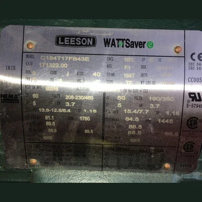 Leeson Wattsaver 5 HP Motor