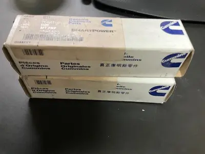 Cummins SFT PMP PN 3003393