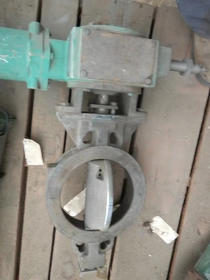 Fisher 10" 300 Class, WCB Steel Butterfly Control Valve