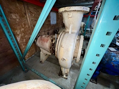 USED Goulds 3175
