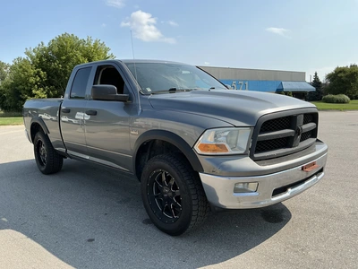 Used 2009 DODGE RAM 1500 Pickup Trucks Michigan US | Miedema Asset Management Group #1337352