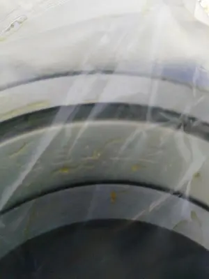 Used NSK 6313ZZC3 Bearings | Surplus Asset Holdings #1189206