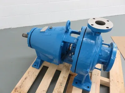 USED Goulds 3175