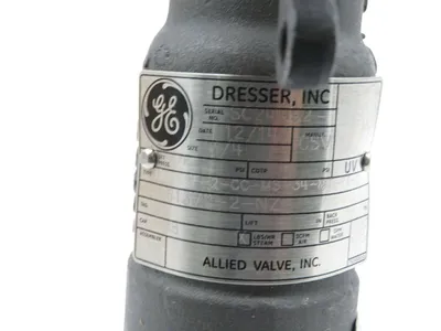 NEW GE 19110L-2-CC-MS-31-MT-FT-GS SAFETYVALVE 2-110-2-MS 19110L2CCMS31MTFTGS