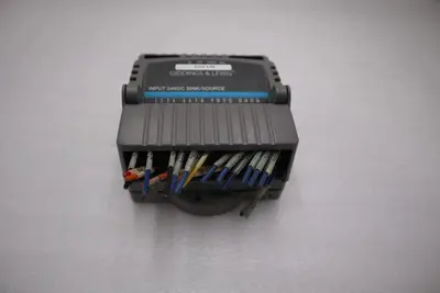 Giddings & Lewis M.1300.7372 R1 Input Module 24VDC SINK/SOURCE STOCK 5157A