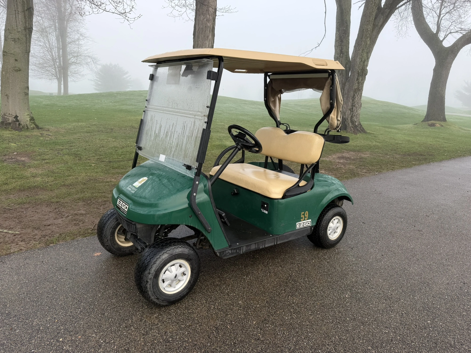 (1) 2017 E-Z-Go golf cart with a Kawasaki gas engine, model 625111G01, includes canopy, ball cover, ...