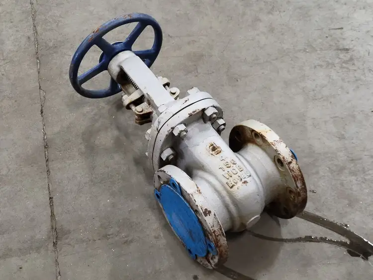 Used FORTUNE 751-F Valves/Fittings British Columbia CA | Lenmark #258148