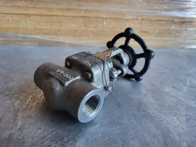 3/4" Class 800 Gate Valve B16.34