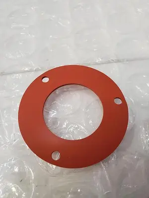 USED GASKET 013704