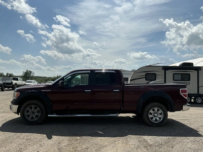 Used 2009 FORD F-150 Pickup Trucks Michigan US | Miedema Asset Management Group #1322340