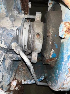 USED Goulds 3175
