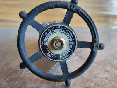 1" Class 800 Globe Valve B16.34