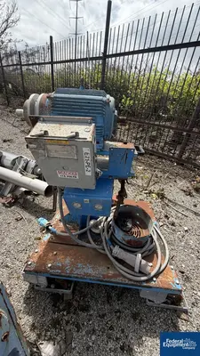 USED Gala Gala Motor Head