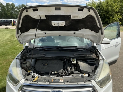 Used 2018 FORD ESCAPE SUVs Michigan US | Miedema Asset Management Group #1315962