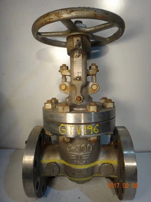 Takawasima 3", Class 300, CF8, Gate Valve