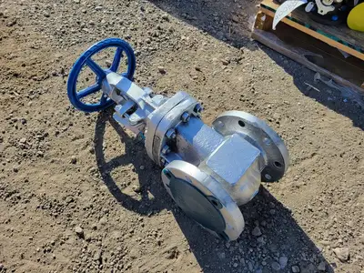 NEW DSI VALVES 37 XUF