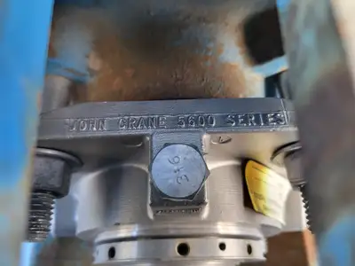 USED GOULDS 3196