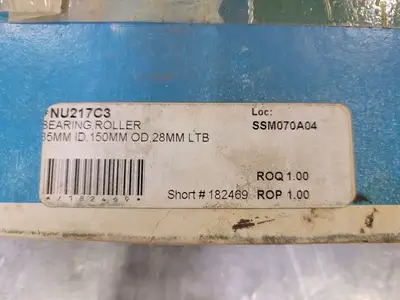 Cylindrical Roller Bearing No. NU217C3