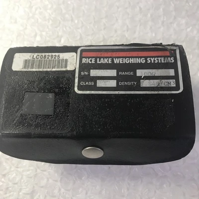 USED Rice Lake Weighing Systems 100g