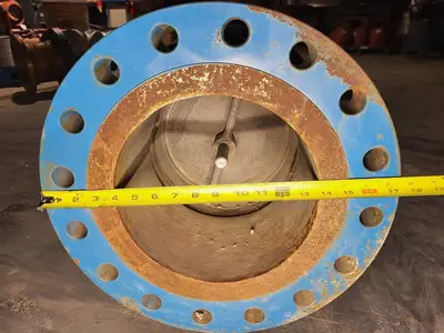10" Class 300 Flanged Check Valve B16.34