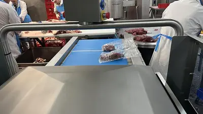 USED 2024 BMB CHAMBER BELT SYSTEM WITH SHRINK TANK