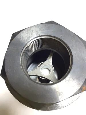 Bivco Circle Seal 4024C00V-0.5S Check Valve 1-1/2″ FPT IN-LINE SPRING