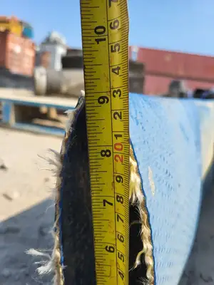 6" x 50 ft Hose Blue