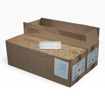 New | in-Stock Thermo Scientific 3455 Microplate Wells Missouri US | BioLabTek #1295736