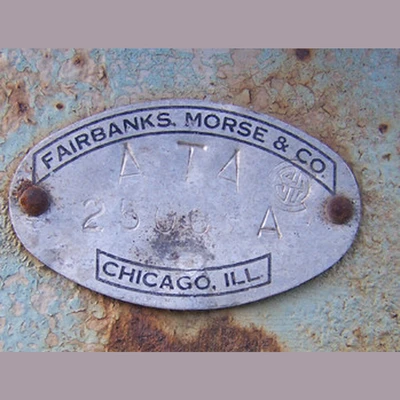 Fairbank Morse Duplex Piston Pump