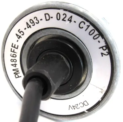 NEW ITOH PM486FE-45-493-D-024-C100-P2 POWER ROLLER 24VDC PM486FE45493D024C100P2