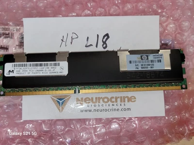 NEW HP MT36JSZF51272PZ
