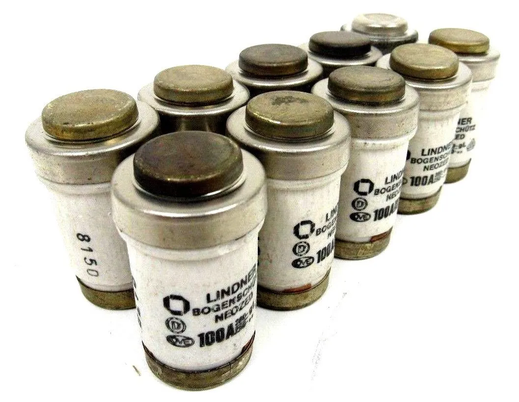 NEW LOT OF 10 LINDNER 100A FUSE