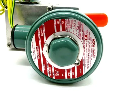 NEW ASCO EF8308B040 SOLENOID VALVE 24DC 318719