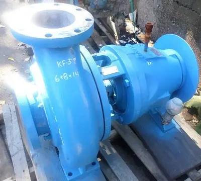 Goulds 3175 6x8x14 Pump (SS)