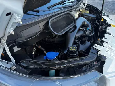 Used 2019 FORD TRANSIT Bucket (boom) trucks Florida US | Truck and Van Outlet #1509208