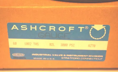 NEW ASHCROFT 60-1082-TAS-02L-3000 GAUGE 3000 PSI 601082TAS02L3000