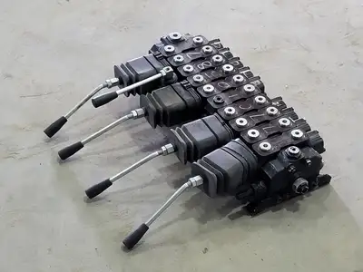 Control Valve Assembly 77010587