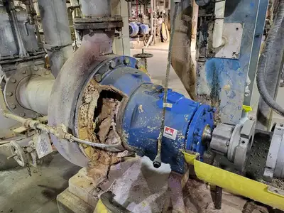 USED GOULDS 3175M