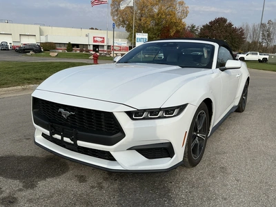 Used 2024 FORD MUSTANG Cars Michigan US | Miedema Asset Management Group #1579884
