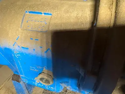 USED GOULDS 3196