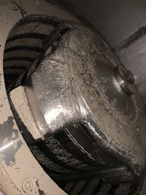 USED Bird 30
