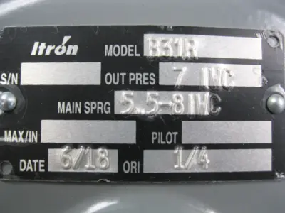 NEW Itron B31R