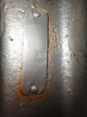 Takamisawa 10", Class 900, CF8, Gate Valve